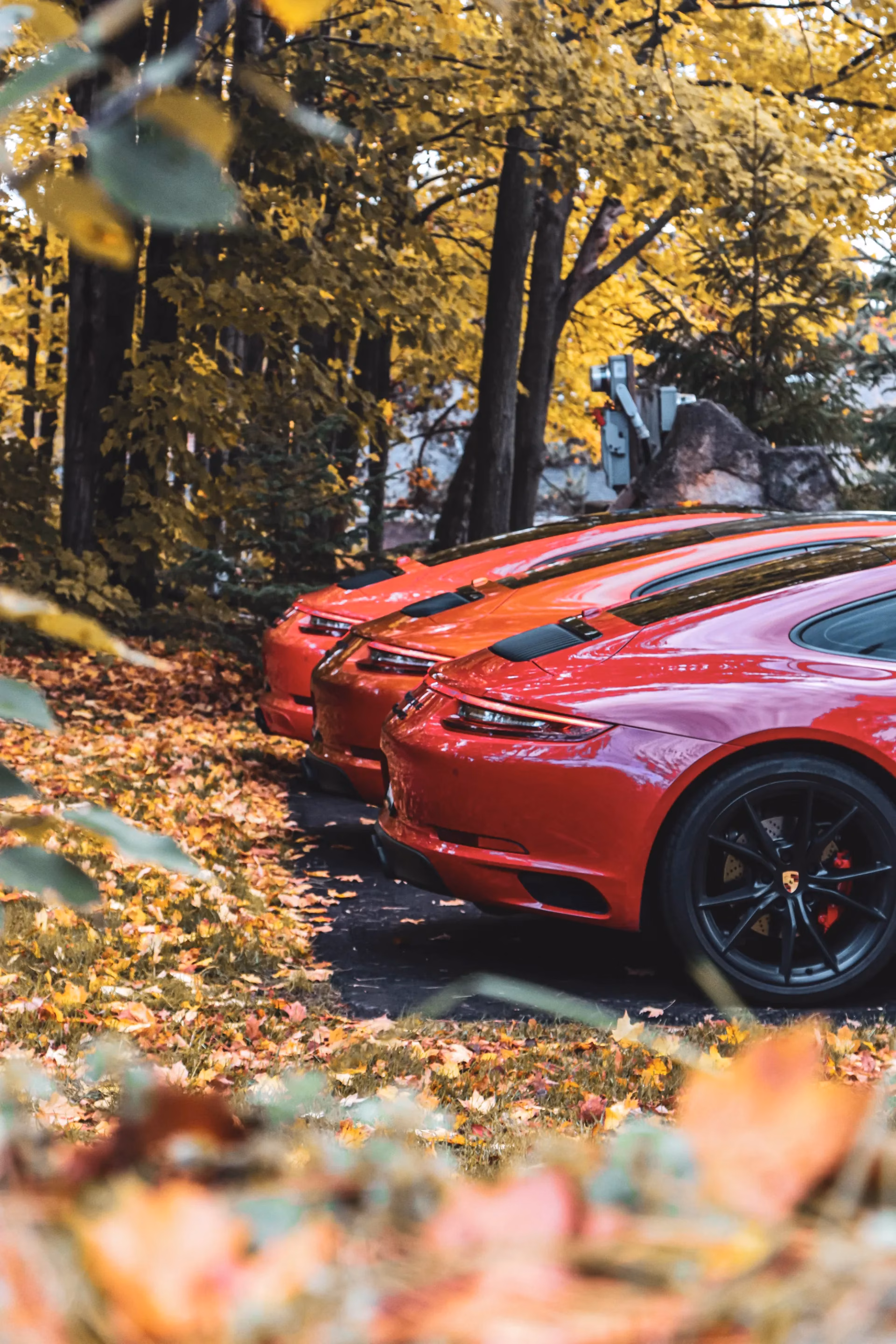 Red Porsche 911s parked in a row under yellow autumn trees