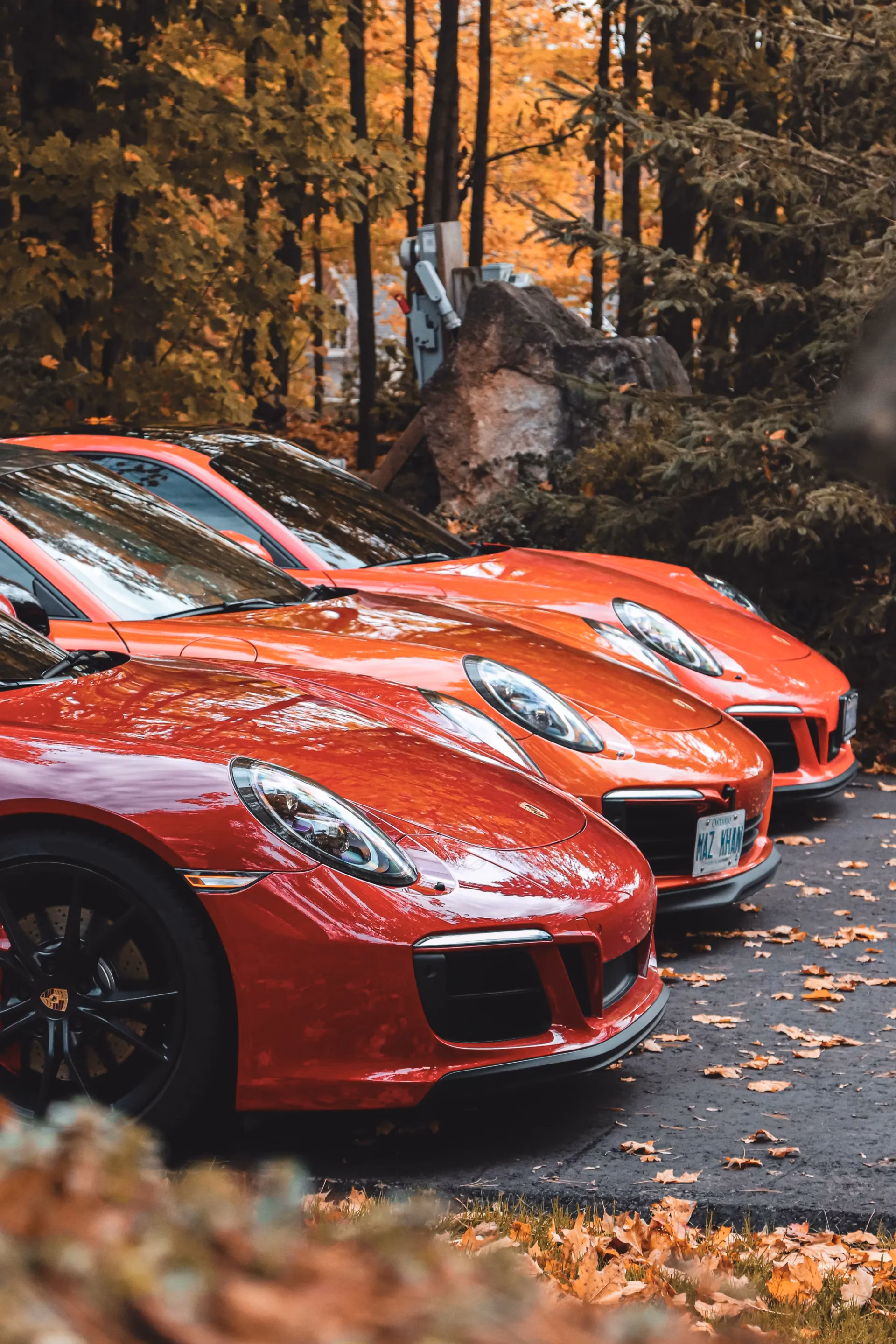 Red Porsche 911s lined up nose-out in a wooded setting, autumn leaves on the ground