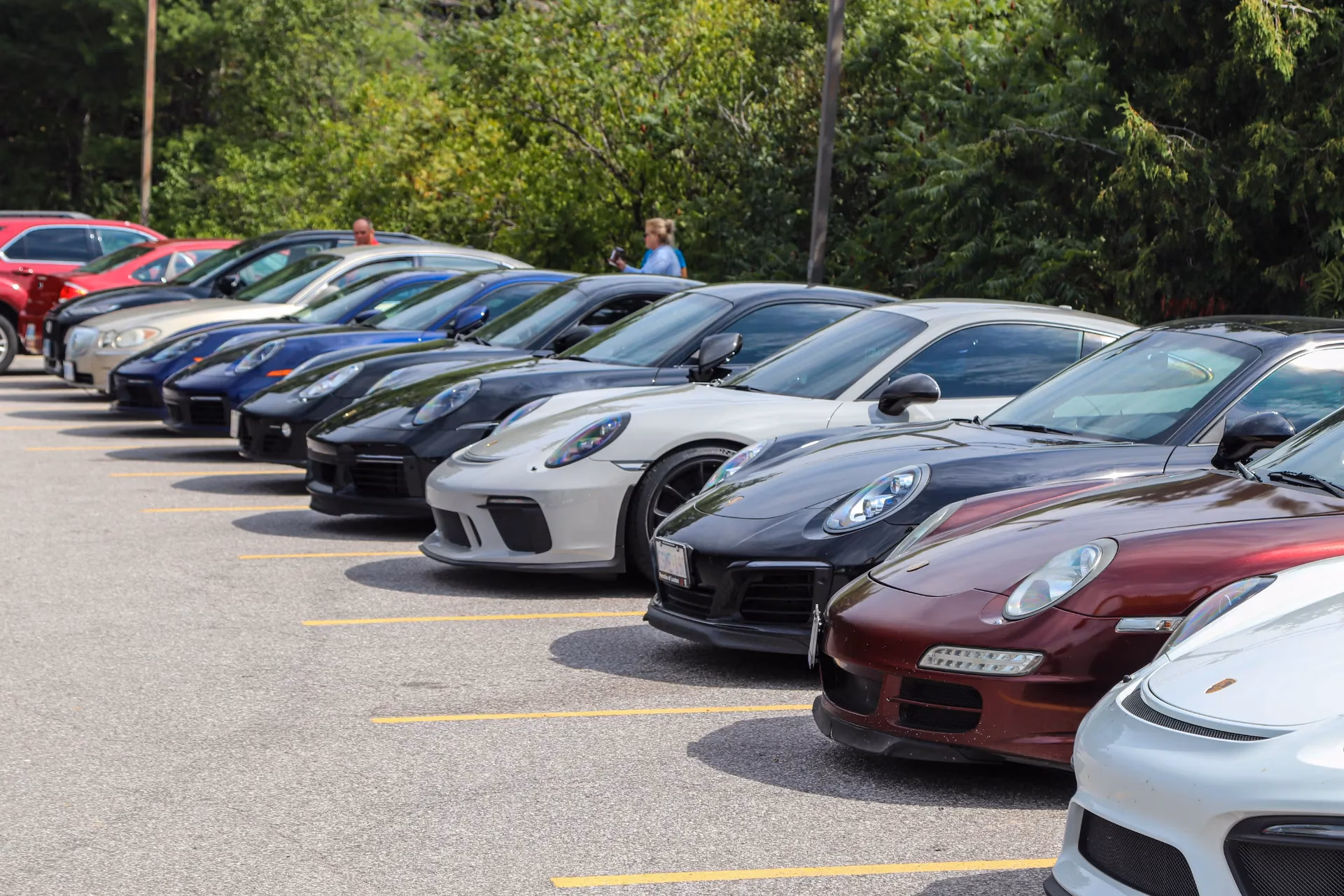 A long row of Porsches parked nose-out in a lot, a white 911 in the middle