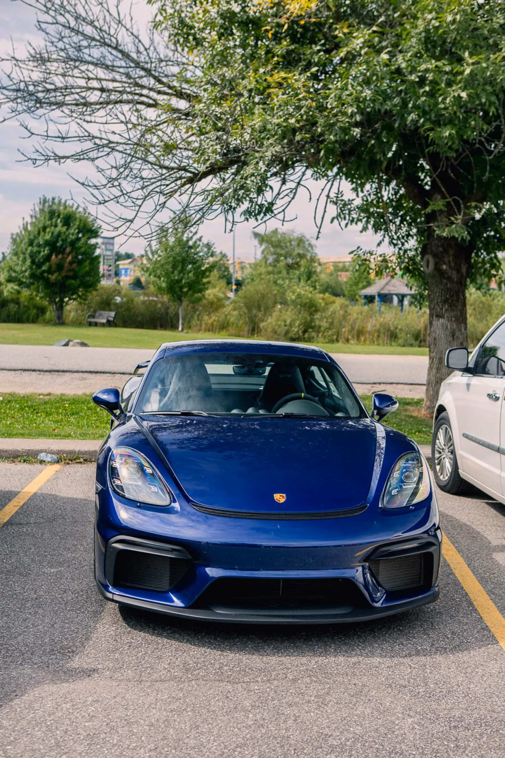 A blue Porsche Cayman GT4 parked under a tree, seen head-on
