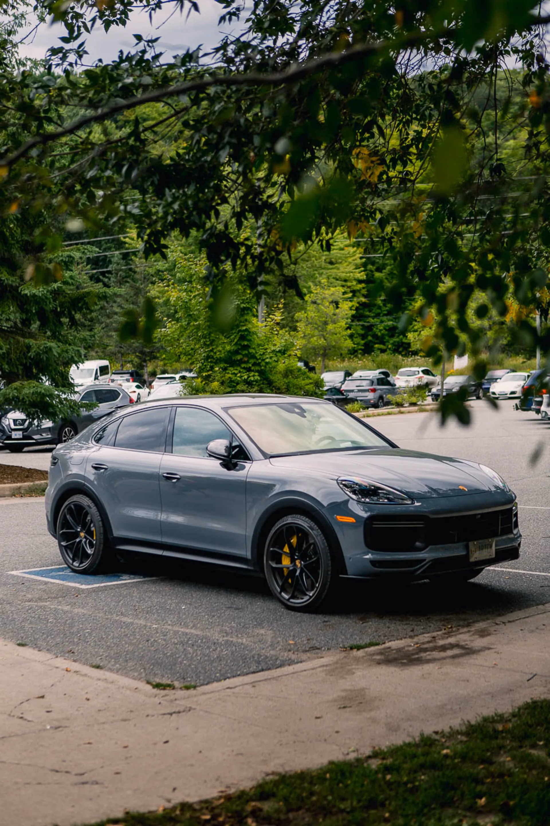A grey Porsche Cayenne Coupe parked in a lot, framed by overhanging leaves