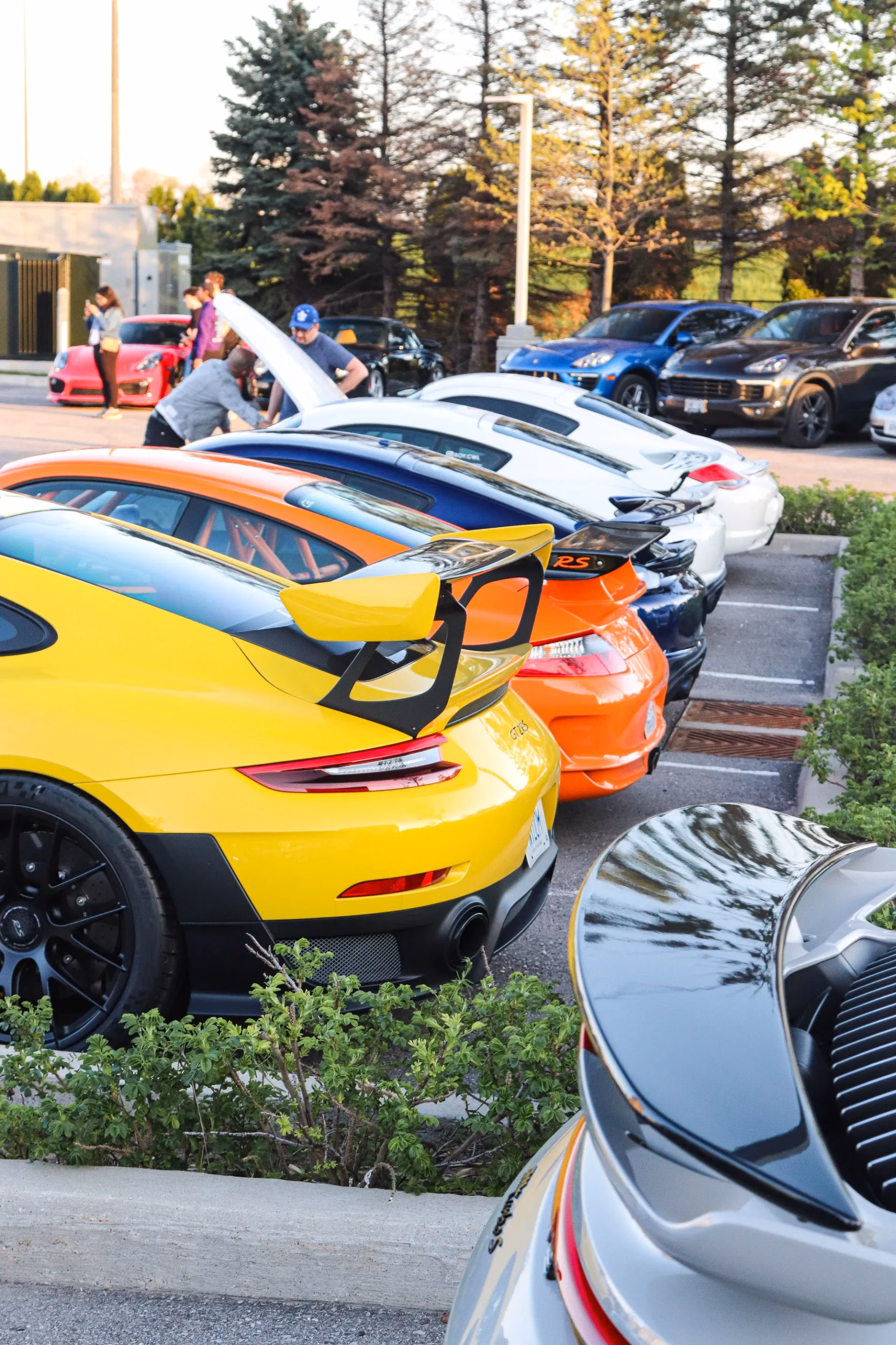 A yellow Porsche 911 with a large rear wing at the head of a row of Porsches, an orange 911 alongside