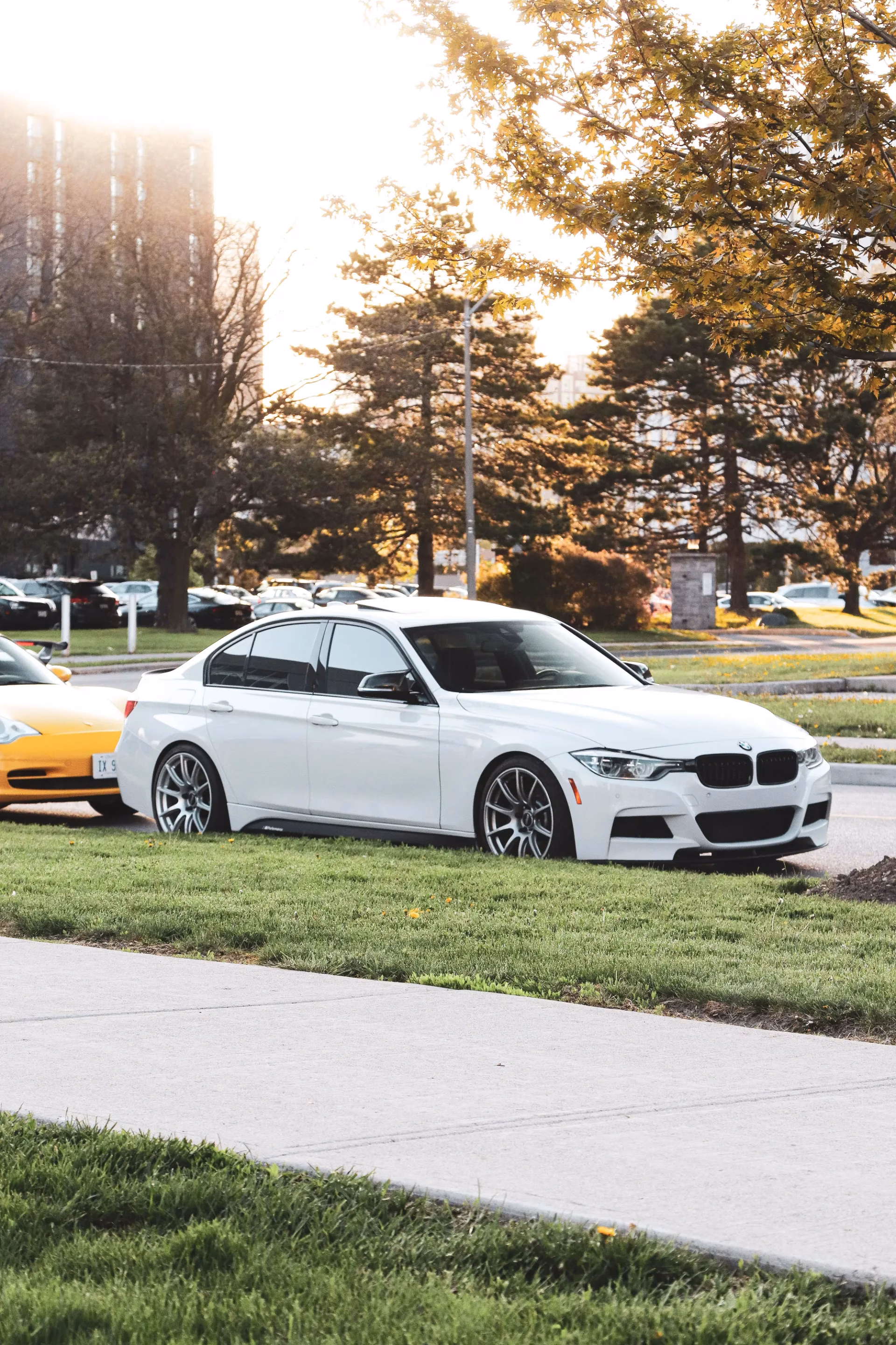 A white BMW sedan parked on a grass verge at a meet in golden light