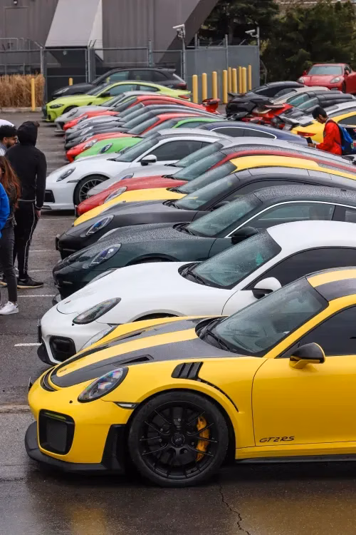 A long row of Porsches lined up at a club meet, a yellow 911 GT2 RS closest to the camera