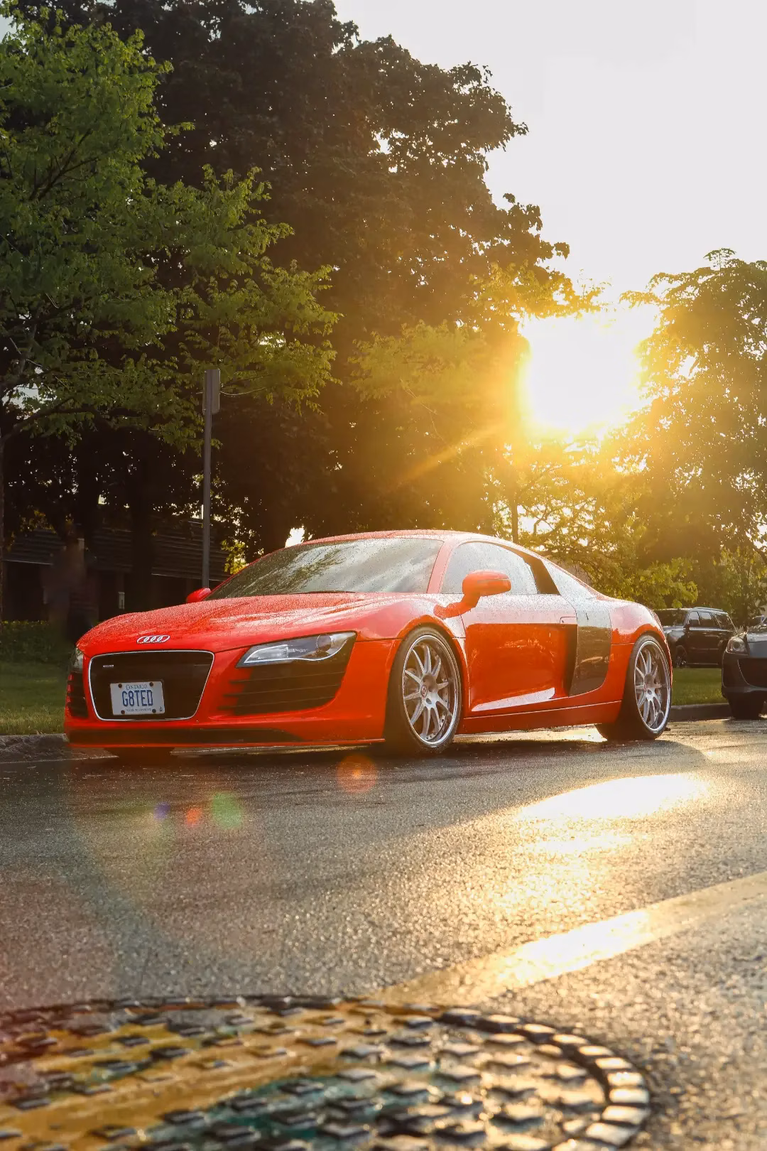 A red Audi R8 on a tree-lined road at golden hour
