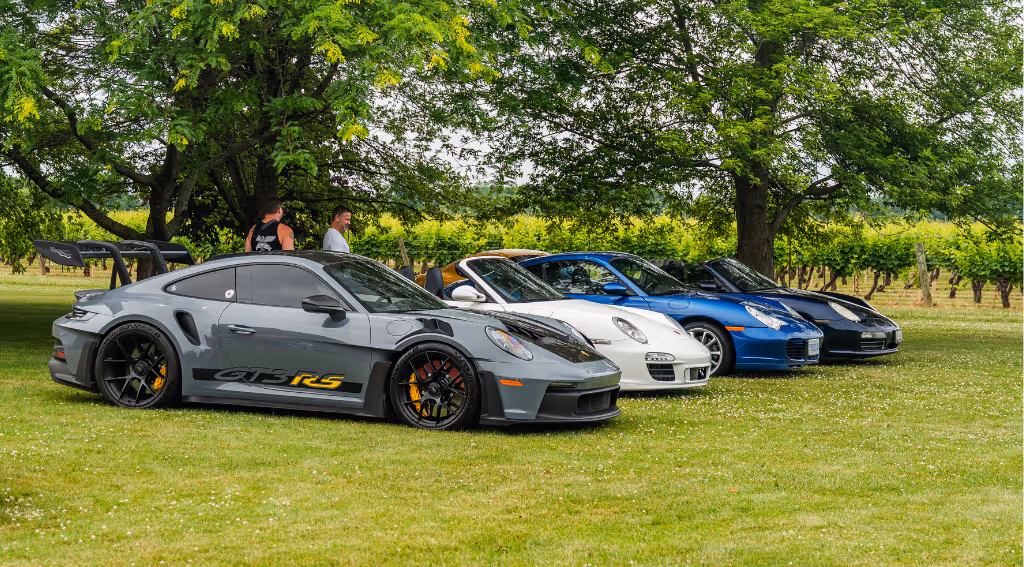 PTN Porsche cars